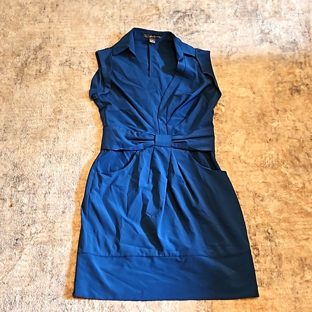 Professional Dress Blue